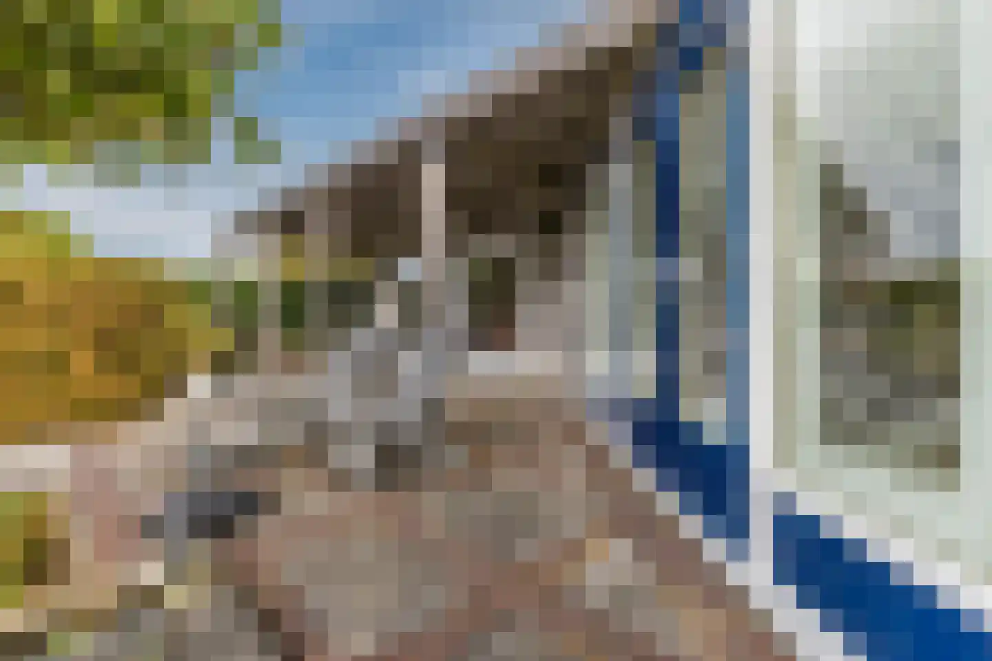 Loodsweg 65 Westknollendam thumbnail 48