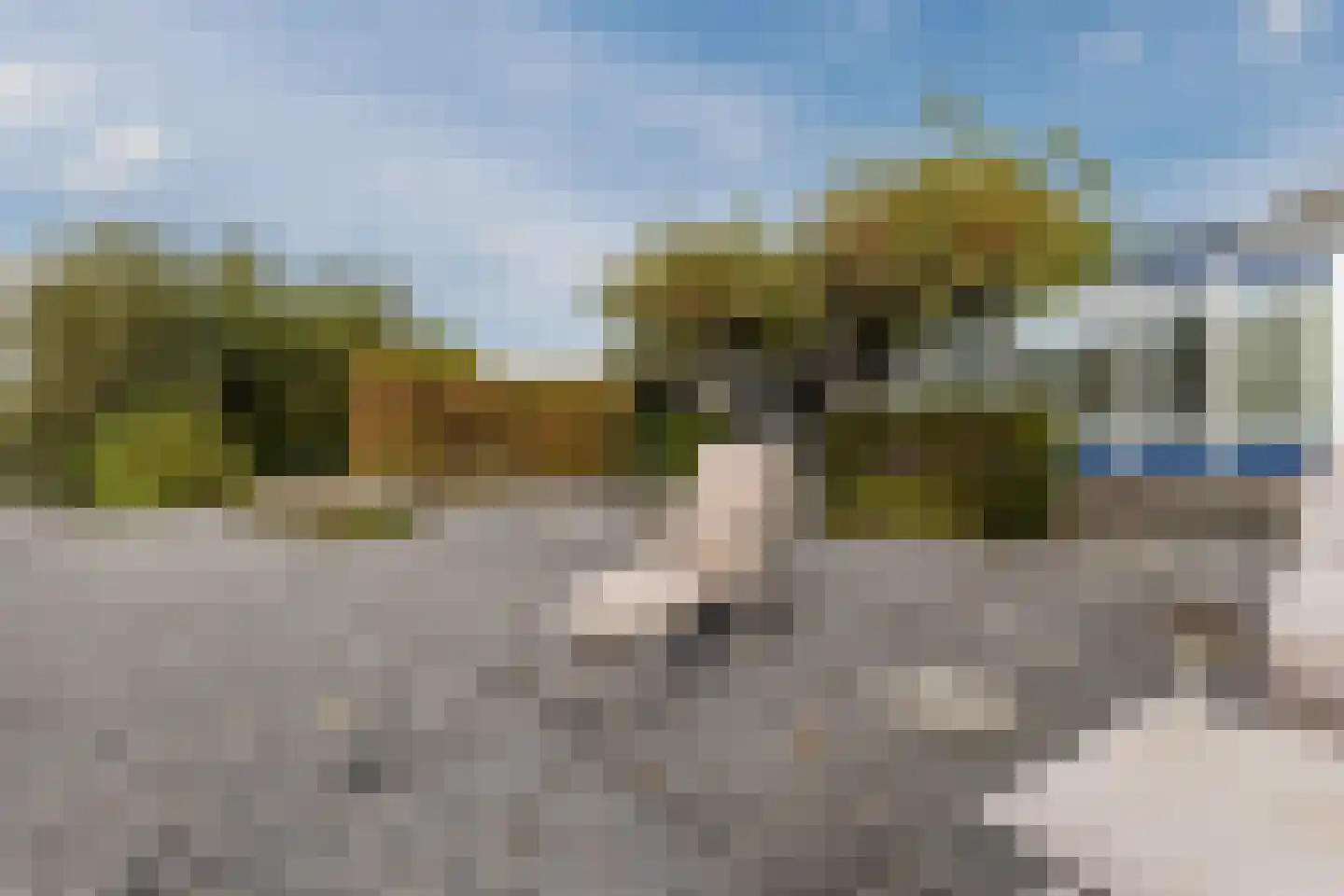 Loodsweg 65 Westknollendam thumbnail 53
