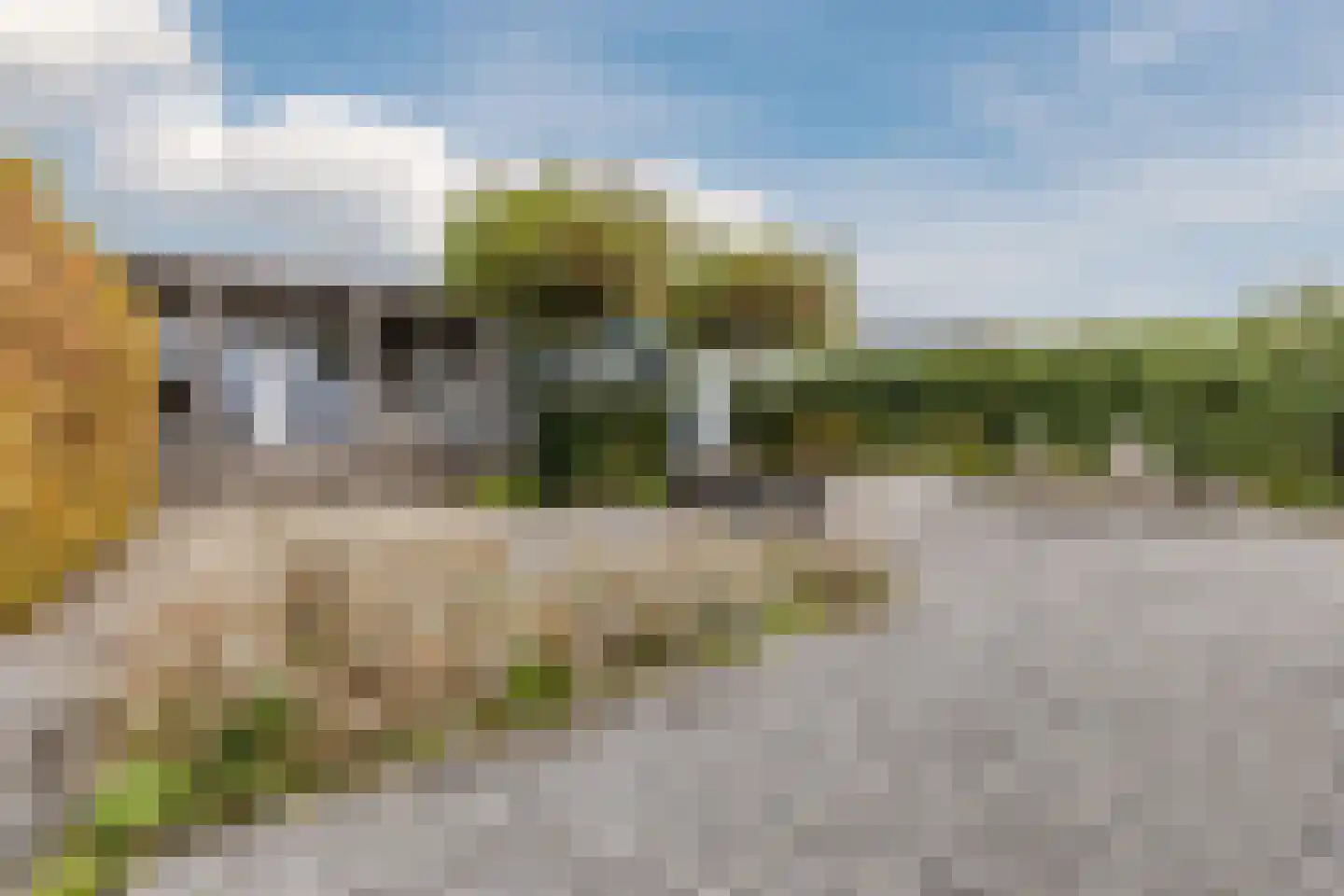 Loodsweg 65 Westknollendam thumbnail 54