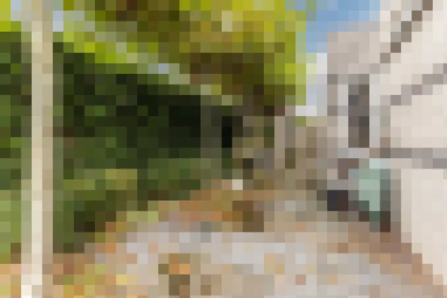 Loodsweg 65 Westknollendam thumbnail 57