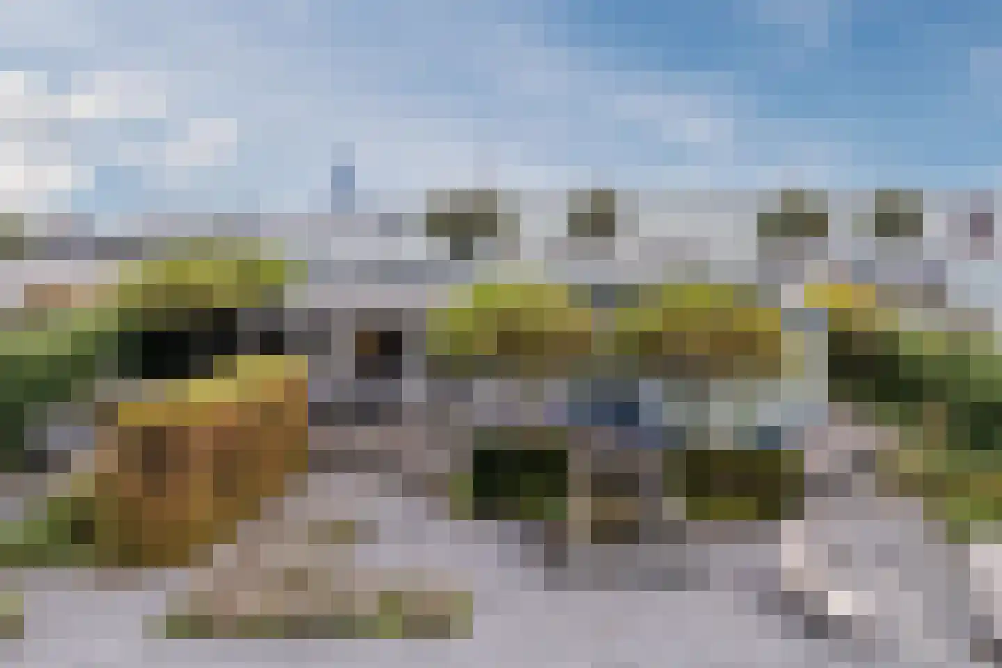 Loodsweg 65 Westknollendam thumbnail 61