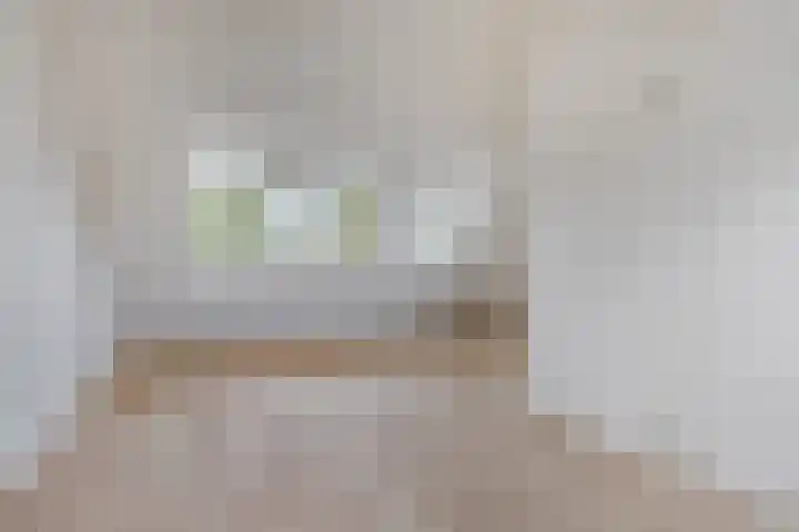 Loodwitmolen 119 Heerhugowaard thumbnail 41