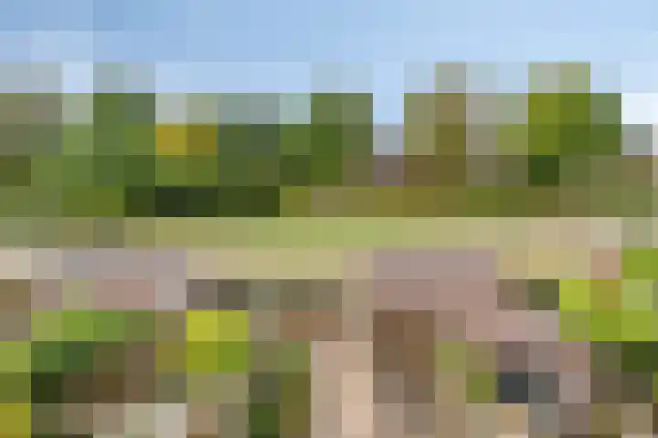 Loodwitmolen 119 Heerhugowaard thumbnail 47