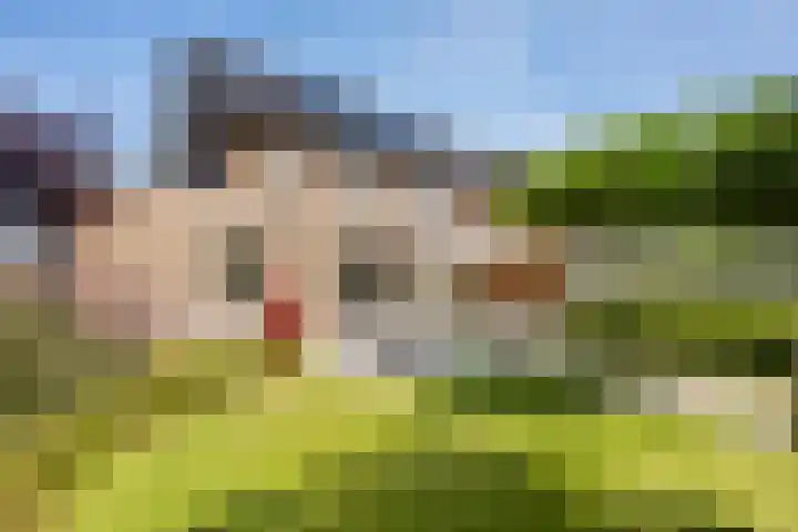Loodwitmolen 19 Zwolle thumbnail 22