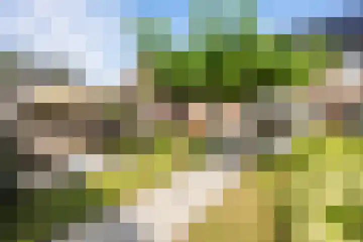 Loodwitmolen 19 Zwolle thumbnail 23