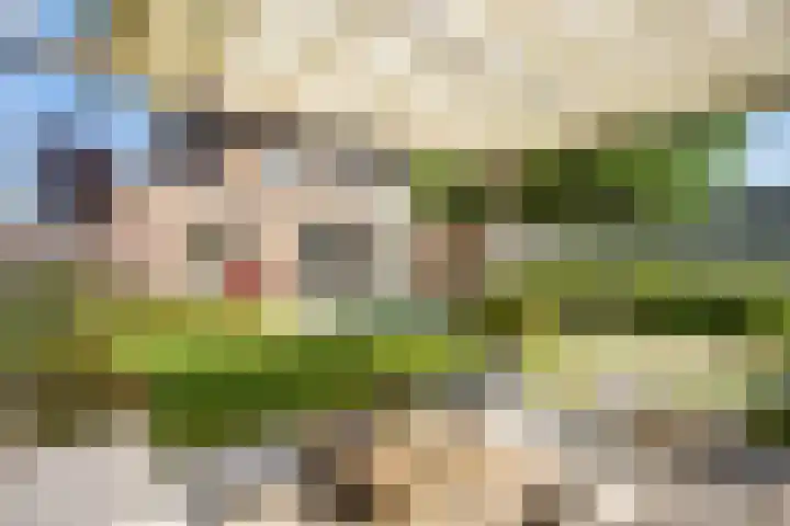 Loodwitmolen 19 Zwolle thumbnail 25