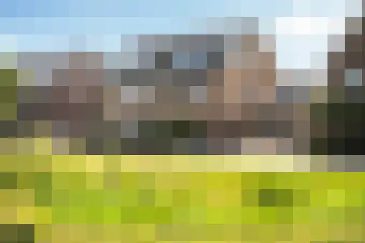 Loodwitmolen 19 Zwolle thumbnail 4