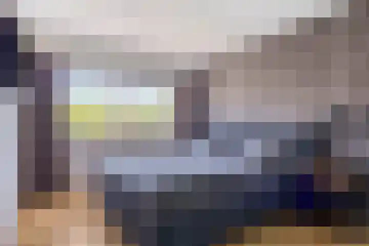 Loodwitmolen 25 Heerhugowaard thumbnail 29