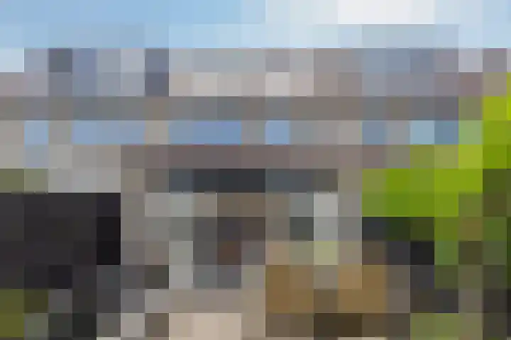Loodwitmolen 25 Heerhugowaard thumbnail 47