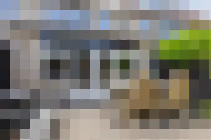 Loodwitmolen 25 Heerhugowaard thumbnail 48