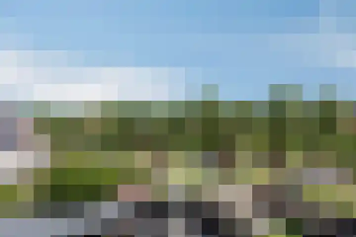 Loodwitmolen 25 Heerhugowaard thumbnail 49