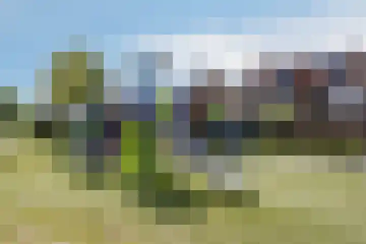 Loodwitmolen 25 Heerhugowaard thumbnail 50
