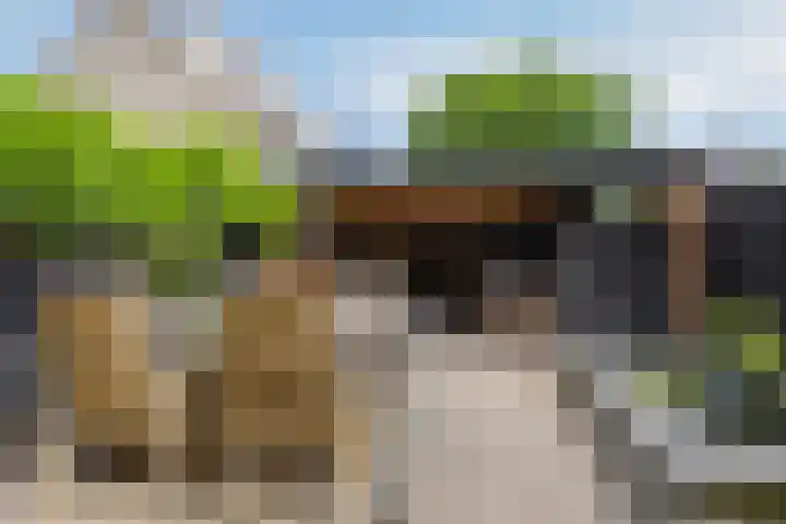 Loodwitmolen 25 Heerhugowaard thumbnail 6