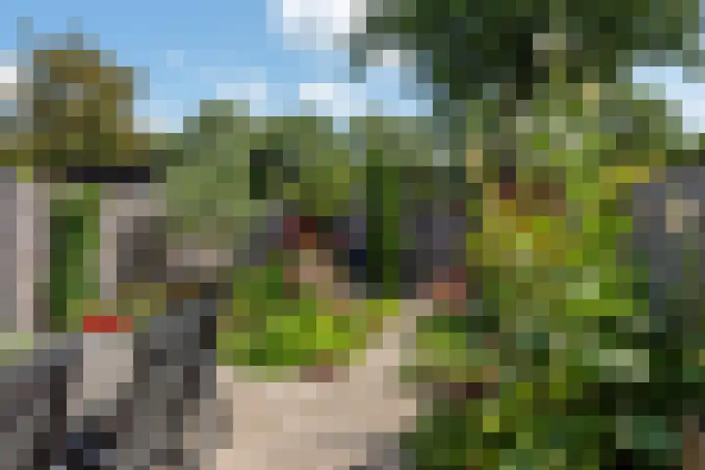 Loodwitmolen 37 Heerhugowaard thumbnail 30