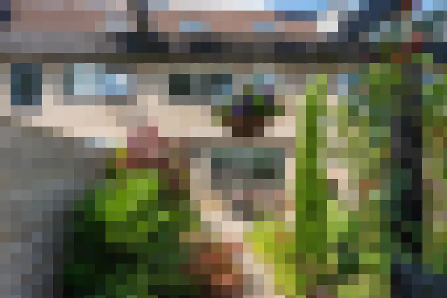 Loodwitmolen 37 Heerhugowaard thumbnail 34