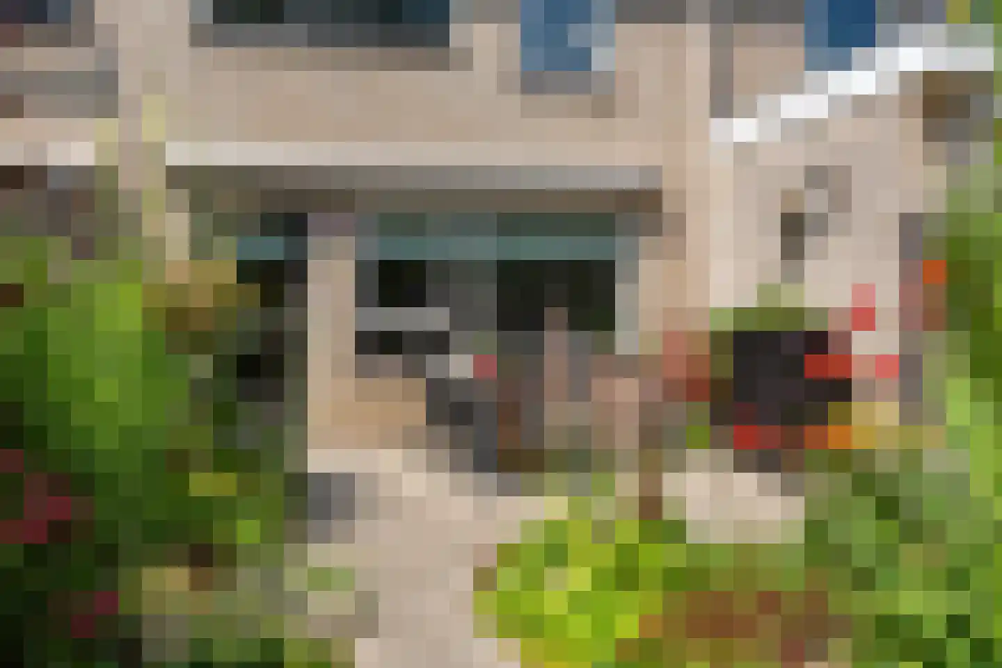 Loodwitmolen 37 Heerhugowaard thumbnail 36