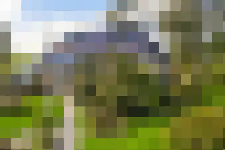 Loodyk 1 Wirdum