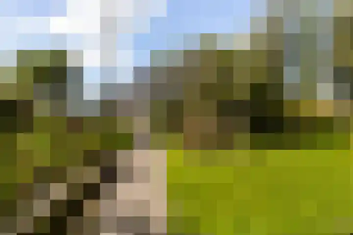 Loodyk 1 Wirdum thumbnail 10