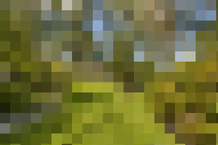 Loodyk 1 Wirdum thumbnail 11