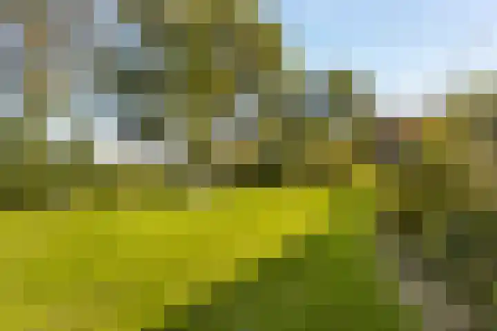 Loodyk 1 Wirdum thumbnail 12