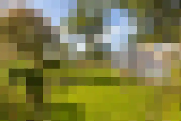 Loodyk 1 Wirdum thumbnail 13