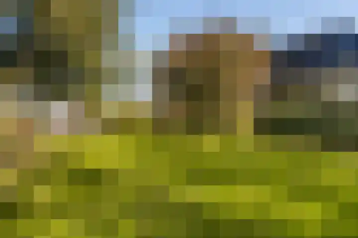 Loodyk 1 Wirdum thumbnail 14