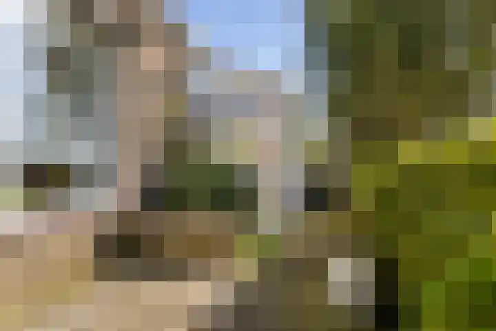 Loodyk 1 Wirdum thumbnail 15