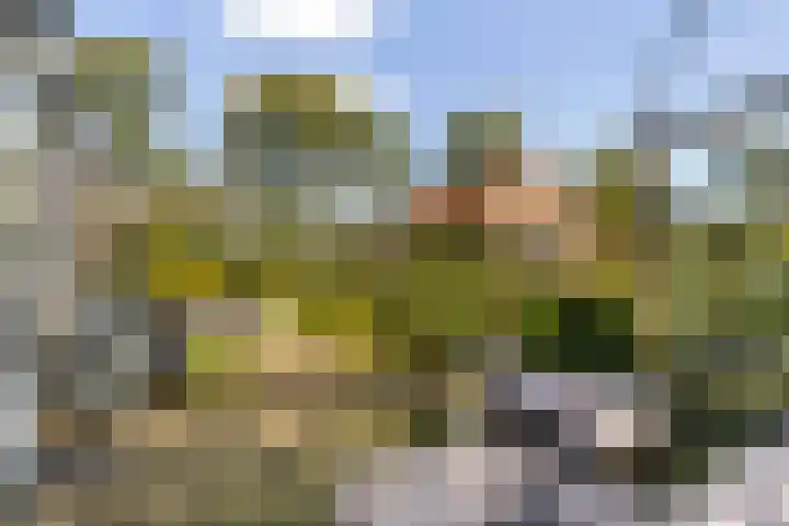 Loodyk 1 Wirdum thumbnail 16