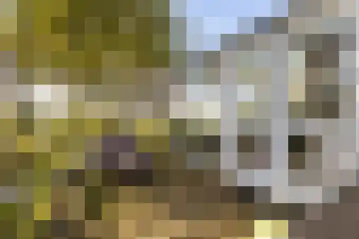 Loodyk 1 Wirdum thumbnail 17