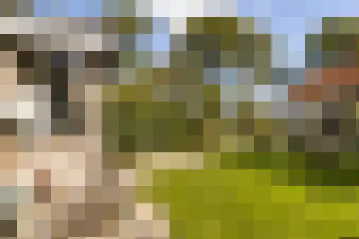Loodyk 1 Wirdum thumbnail 18