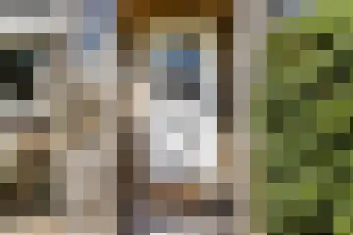 Loodyk 1 Wirdum thumbnail 19