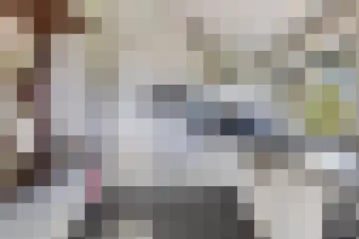 Loodyk 1 Wirdum thumbnail 28