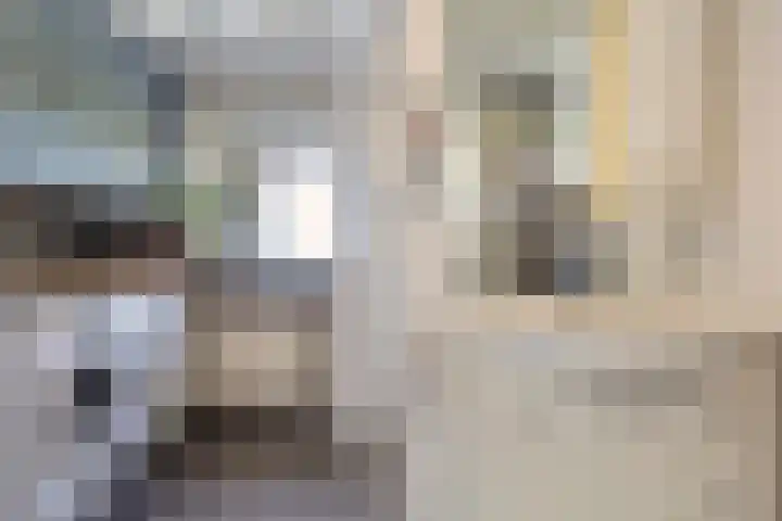 Loodyk 1 Wirdum thumbnail 35