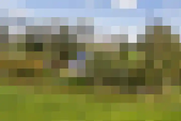 Loodyk 1 Wirdum thumbnail 4