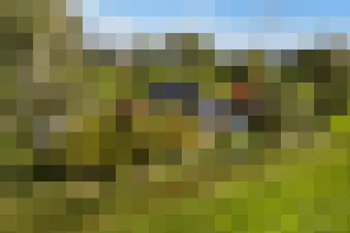 Loodyk 1 Wirdum thumbnail 5