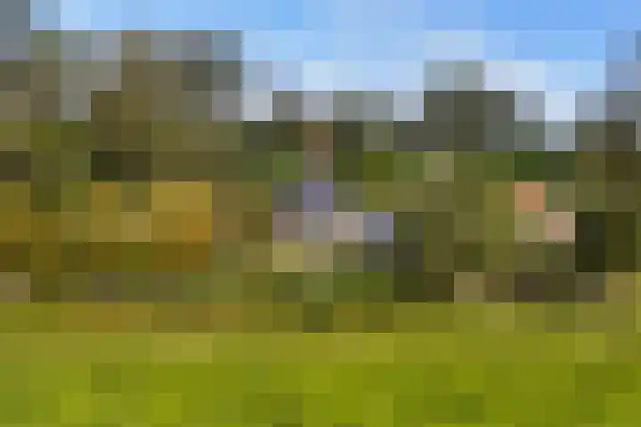 Loodyk 1 Wirdum thumbnail 6