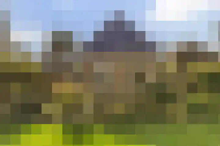 Loodyk 1 Wirdum thumbnail 7