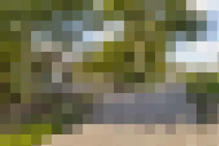Loodyk 1 Wirdum thumbnail 8