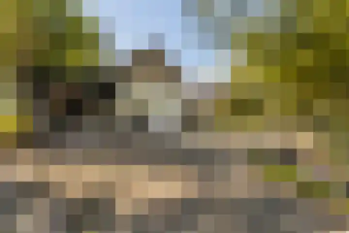 Loodyk 1 Wirdum thumbnail 9