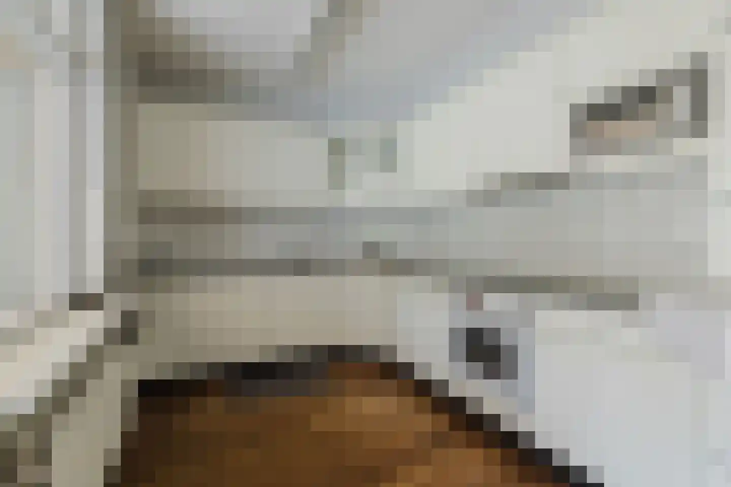 Looëind 8 Liempde thumbnail 17