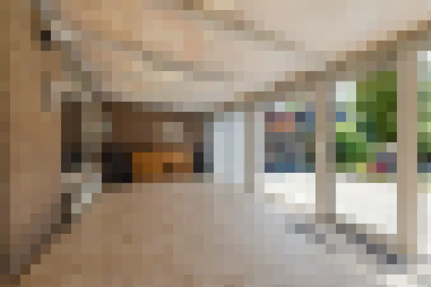 Looëind 8 Liempde thumbnail 20