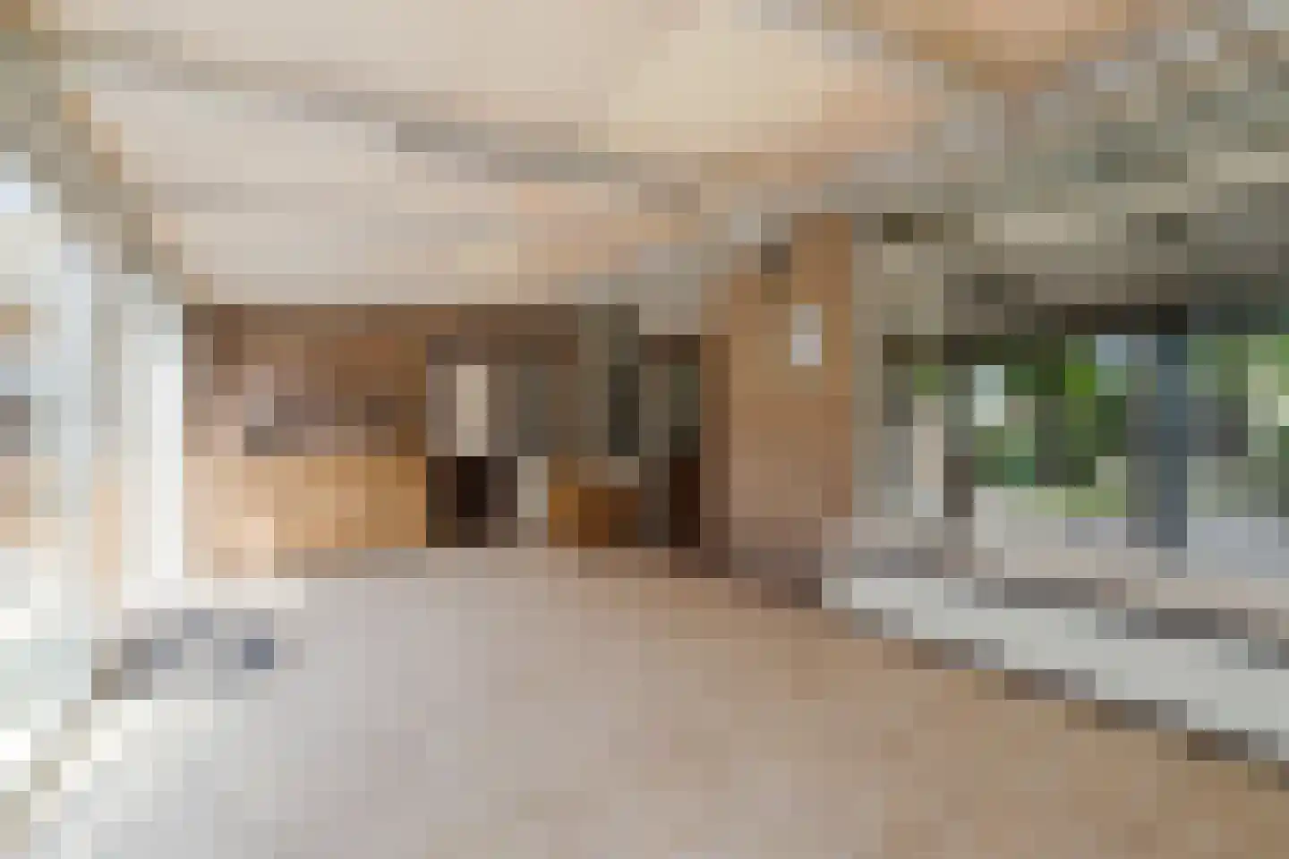 Looëind 8 Liempde thumbnail 22