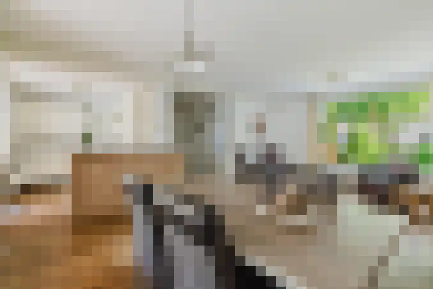 Looëind 8 Liempde foto 3