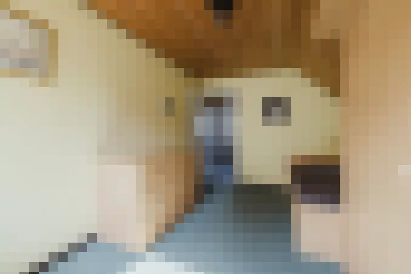 Looëind 8 Liempde thumbnail 34