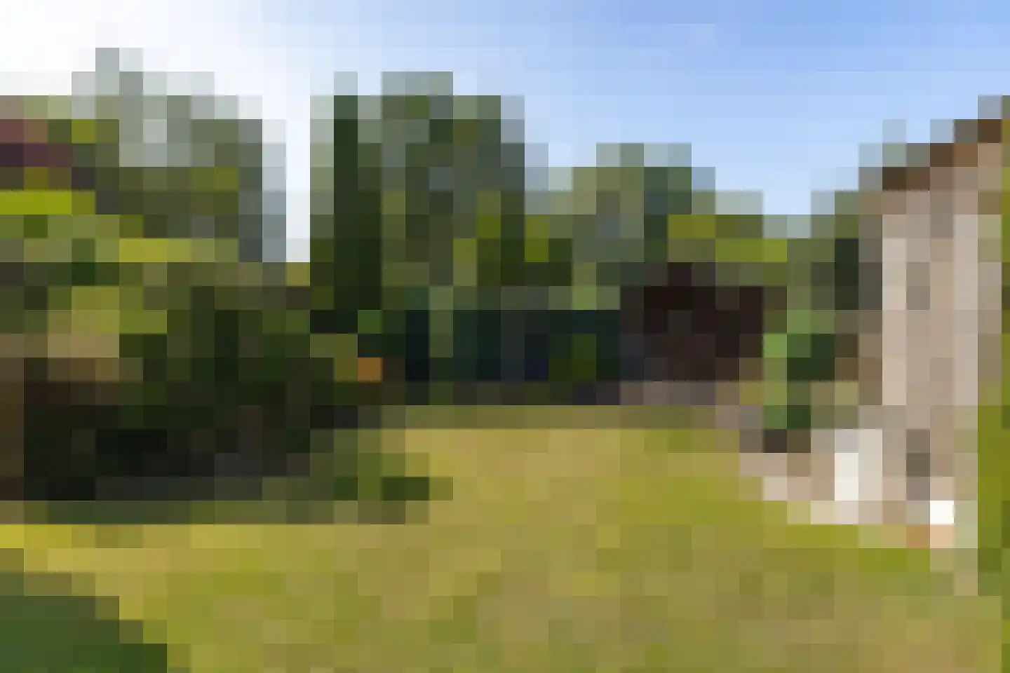 Looëind 8 Liempde thumbnail 40