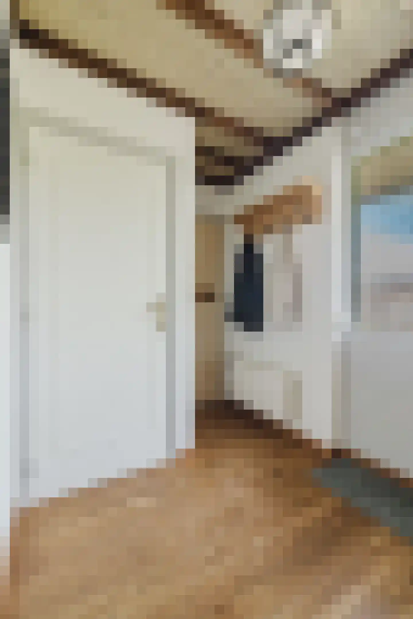 Looëind 8 Liempde thumbnail 7