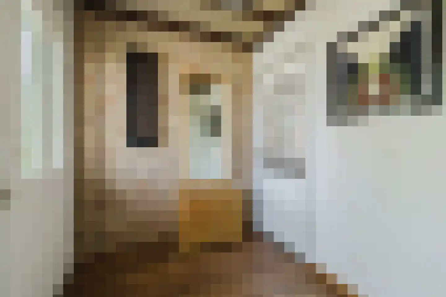 Looëind 8 Liempde thumbnail 8
