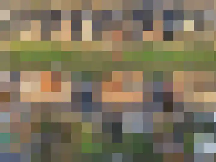 Looër Enkweg 13 Zutphen thumbnail 37