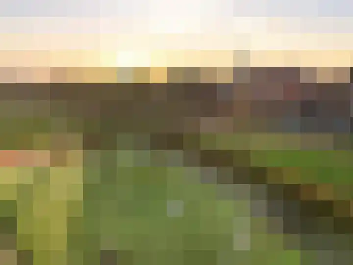 Looër Enkweg 13 Zutphen thumbnail 39