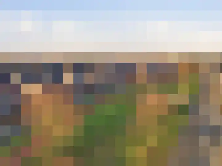 Looër Enkweg 13 Zutphen thumbnail 41